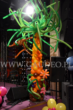 Balonowa palma na event.