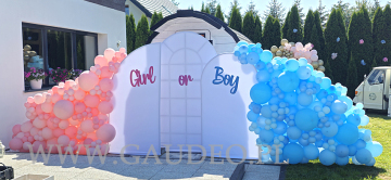 Organiczna dekoracja balonowa w stylu Boy or Girl.