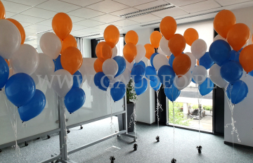 Balony z helem ułożone w bukiety w biurze we Wrocławiu.