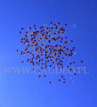 Balony z helem wznoszą się ku niebu.