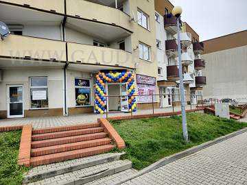 Brama z balonów w Lubinie dla Lotto.
