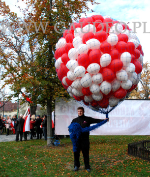 Balony helowe czekają na wypuszczanie.