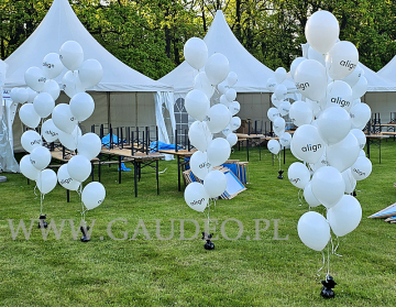 Balony z nadrukiem i helem ułożone w stroiki.
