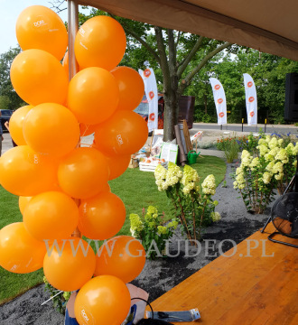Balony z logo pozakładane na patyczki.